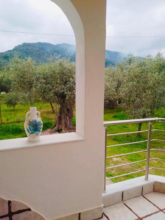 Villa Calypso Szkála Rahoníu Kültér fotó