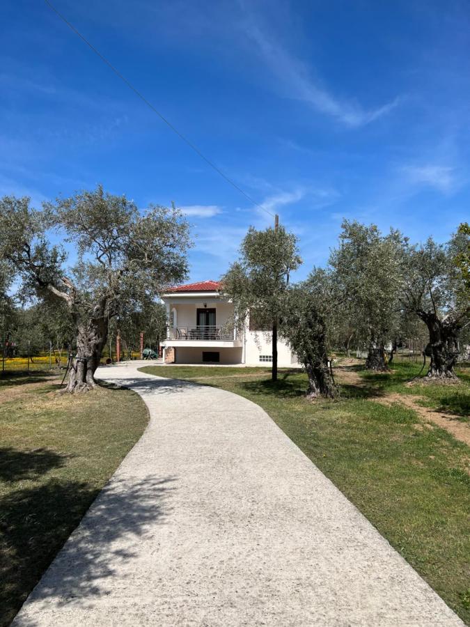 Villa Calypso Szkála Rahoníu Kültér fotó