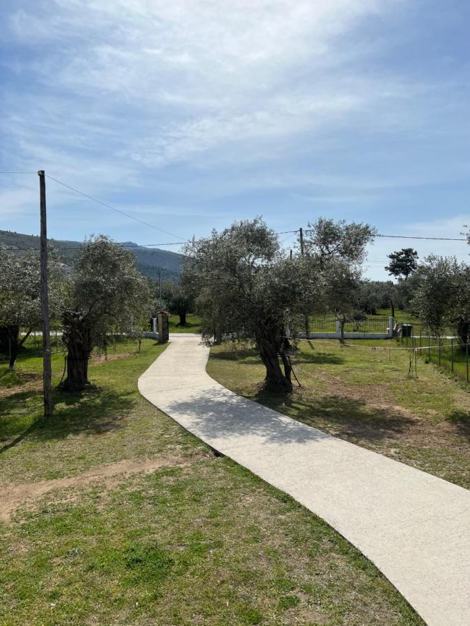 Villa Calypso Szkála Rahoníu Kültér fotó